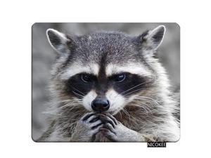 NICOKEE Raccoon Rectangle Gaming Mousepad Lovely Raccoon Whild Animal Mouse Pad Mouse Mat for Computer Desk Laptop Office 9.5 X 7.9 Inch Non-Slip Rubber