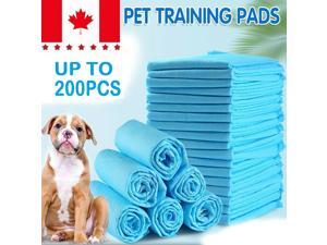 200 LARGE PUPPY TRAINING TRAINER PADS TOILET PEE WEE MATS DOG CAT 60X60 CM PET 200 LARGE PUPPY TRAINING TRAINER PADS TOILET PEE WEE MATS DOG CAT 60X60 CM PET
