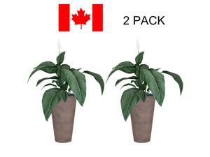 Home Garden Outdoor Living Plant Care 12" ARCADIA GARDEN ROUND VASE POT,2 PACK Home Garden Outdoor Living Plant Care 12" ARCADIA GARDEN ROUND VASE POT,2 PACK