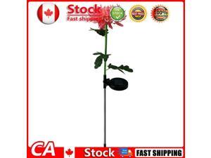 2pcs LED Solar Light Chrysanthemum Lawn Stake Lamps Garden Decor Pink CA 2pcs LED Solar Light Chrysanthemum Lawn Stake Lamps Garden Decor Pink CA