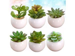 6pcs Home Artificial Succulent Fake Plants Decoration Living Room Desk Office Shelf Decaration(include Pot, Happy Lotus, Red Medium Small Flower, Frost Lotus, Round Core Lotus, Rain Butterfly, Green 6pcs Home Artificial Succulent Fake Plants Decoration Living Room Desk Office Shelf Decaration(include Pot, Happy Lotus, Red Medium Small Flower, Frost Lotus, Round Core Lotus, Rain Butterfly, Green