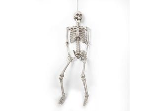 1pc Prank Prop Simulated Skeleton Artificial Skeleton Model Halloween Prop for Home Party 1pc Prank Prop Simulated Skeleton Artificial Skeleton Model Halloween Prop for Home Party