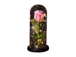 Mother's Day Birthday Gifts for Mom Grandma Beauty and The Beast Rose Flowers, LED Lights in Glass Dome on Wood Base, Warm Light Mode, Fallen Pink Petals, Multi Use for Home/Office or Home Decorations Mother's Day Birthday Gifts for Mom Grandma Beauty and The Beast Rose Flowers, LED Lights in Glass Dome on Wood Base, Warm Light Mode, Fallen Pink Petals, Multi Use for Home/Office or Home Decorations