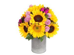 Sunflowerguy - Garden Walk - Sunflower & Dianthus Bouquet Sunflowerguy - Garden Walk - Sunflower & Dianthus Bouquet