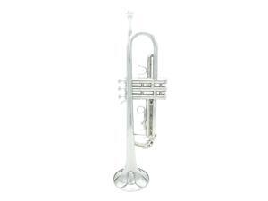 Exquisite Trumpet Bb B Flat Brass Trumpet with Mouthpiece Gloves High Quality Brass Instruments with Padded Box and Strap Exquisite Trumpet Bb B Flat Brass Trumpet with Mouthpiece Gloves High Quality Brass Instruments with Padded Box and Strap