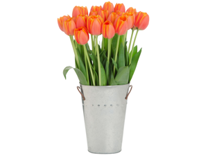 Stargazer Barn -30 Orange Tulips with Vase Stargazer Barn -30 Orange Tulips with Vase
