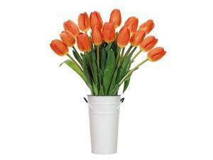 Stargazer Barn - 15 Orange Tulips Stargazer Barn - 15 Orange Tulips