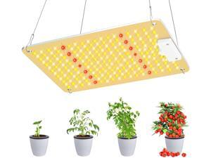 1000W Grow Light PB 1000 LED Grow Lights for Indoor Plants Full Spectrum, High-Performance Plant Growing Lamps with Samsung Diodes and Sosen Driver for a 2x2 Grow Tent Veg and Flowering 1000W Grow Light PB 1000 LED Grow Lights for Indoor Plants Full Spectrum, High-Performance Plant Growing Lamps with Samsung Diodes and Sosen Driver for a 2x2 Grow Tent Veg and Flowering