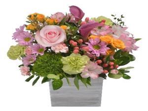 Farm Direct Fresh Flower Centerpiece Farm Direct Fresh Flower Centerpiece