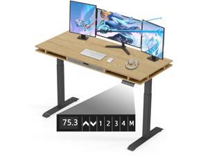 Electric Standing Desk with Drawers, 55" Height Adjustable Stand Up Desk, Dual Motor 4-Stage Lift System Electric Computer Desk PC Table with Memory Storage for Home Office - Black