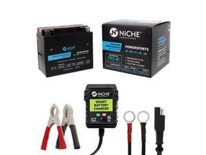 NICHE Battery for YTX12-BS with 12V 750mA Maintainer Charger | 160CCA Self Activated | ATV Motorcycle Scooter | for Honda Kawasaki Triumph & more NICHE Battery for YTX12-BS with 12V 750mA Maintainer Charger | 160CCA Self Activated | ATV Motorcycle Scooter | for Honda Kawasaki Triumph & more