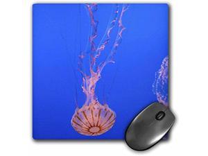 Llc 8 X 8 X 0.25 Inches Jellyfish Monterey Bay Aquarium California David R Frazier Mouse Pad (Mp_88345_1)