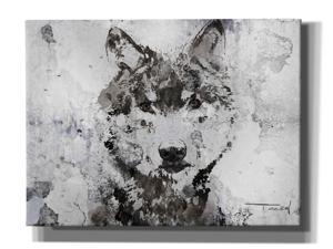 Epic Graffiti 'Rustic Wolf Portrait 3' by Irena Orlov, Canvas Wall Art, 16"x12"