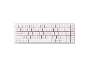 YUNZII KC68 Pro Lavender Hot Swappable Mechanical Keyboard 68-Key Gaming Keyboard, Translucent Keyboard Case,RGB Backlit for Mac/Win/Gamers Gateron Red