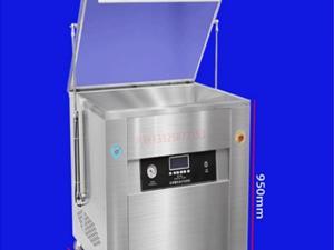 New Commercial Mega Chamber Flat Food Vacuum Sealer Machine VS3