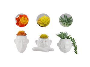GIA Design Group 3 - Piece Artificial Succulent in Vase Set/White Ceramic Head Planter with Artificial Plants