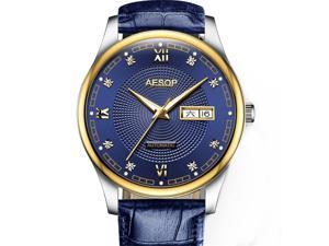 AESOP Men Day Date Analog Automatic Self Winding Mechanical Wrist Watch with Steel Leather Band Luminous Blue