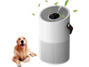 do air purifiers get rid of dog hair