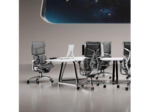 Sihoo Doro S300  High Back Ergonomic Office Chair with Dual ...