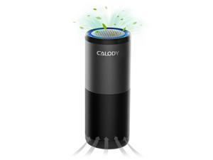 Portable Car Air Purifier, Desktop Air Cleaner with H13 True HEPA Filter, Low Noise, Suitable for  smoke, dust and Odor Eliminator, Air Purifier for Car Travel Home Bedroom Office