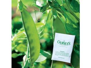 Gurney's 0.5 lb. Bush Bean Early Contender (Seed Packet)