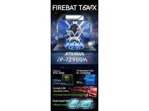 NeweggBusiness - FIREBAT T6A-X 16