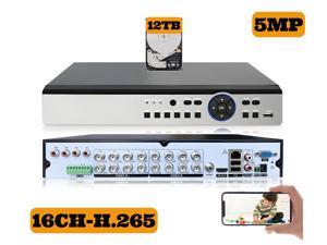 Digital Watchdog 16-channel DW Spot Monitoring Module - Newegg.com