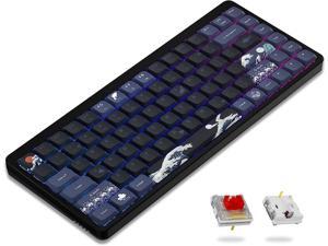  COSTOM XVX M84 75% Wireless/Wired Mechanical Keyboard, Compact  84 Keys Hot Swappable Gaming Keyboard, N-Key Rollover RGB Custom Keyboard  for Windows Mac PC Gamer (Coral Sea, Gateron Yellow Switch) : Video