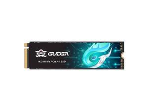GUDGA GVR Series SSD 256GB, PCIe3.0x4 M.2 2280 Internal Solid State Hard Drive, Seq. Read Speeds Up to 2,700MB/s for High End Computing Workstations