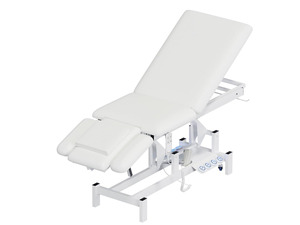 2-Motor Electric Massage Table for Physical Therapy (White) | Angle & Height Adjustable, Wheels for Easy Mobility, Professional Treatment & Medical Exam Table for Facial, Tattoo, Waxing