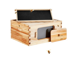 Bee Hive Deep Box Starter Kit, 100% Beeswax Coated Natural Cedar Wood, Langstroth Beehive Kit with 10 Frames and Foundations, Transparent Acrylic Bee Windows for Beginners and Pro Beekeepers