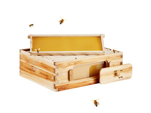 Bee Hive Medium Box Starter Kit, 100% Beeswax Coated Natural Cedar Wood, Langstroth Beehive Kit with 10 Frames and Foundations, Transparent Acrylic Bee Windows for Beginners and Pro Beekeepers