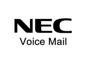NEC NEC-1100113 SL1100 CF 4 Ports/40 Hours Voice Mail NEC NEC-1100113 SL1100 CF 4 Ports/40 Hours Voice Mail