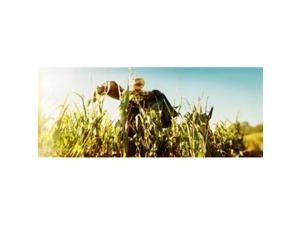 Panoramic Images PPI129751L Scarecrow in a corn field Queens County Farm Queens New York City New York State USA Poster Print by Panoramic Images - 36 x 12 Panoramic Images PPI129751L Scarecrow in a corn field Queens County Farm Queens New York City New York State USA Poster Print by Panoramic Images - 36 x 12