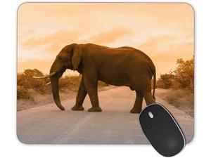 JNKPOAI Elephant Mouse Pad Mouse Pad for Laptop Computers Anti-Slip Mouse Pad for Office Animals Mouse Pads (Elephant#2, Square)