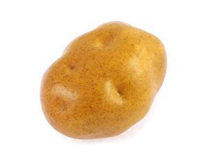 Unique Bargains Artificial Brown Potato Decorative Fake Vegetable Unique Bargains Artificial Brown Potato Decorative Fake Vegetable