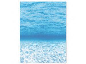 Pacon 56525 Fadeless Designs Bulletin Board Paper Under Sea Acid-Free 48 x 50 Rl Pacon 56525 Fadeless Designs Bulletin Board Paper Under Sea Acid-Free 48 x 50 Rl