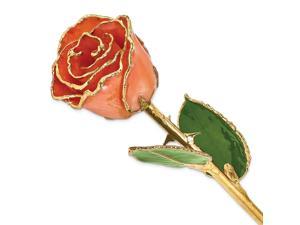 Allmygold Jewelers Orange Long Stem Dipped 24K Gold Trim Genuine Rose