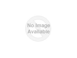 New LEXAR LNS100-256RBNA Lexar NS100 Solid state drive 256 GB internal 2.5" SATA New LEXAR LNS100-256RBNA Lexar NS100 Solid state drive 256 GB internal 2.5" SATA