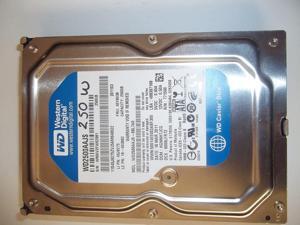 Western Digital WD2500AAJS 250 GB Caviar Blue Hard Drive Western Digital WD2500AAJS 250 GB Caviar Blue Hard Drive