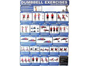 Productive Fitness Poster Series - Dumbbell Exercises (Upper & Core) Home Use Productive Fitness Poster Series - Dumbbell Exercises (Upper & Core) Home Use