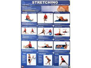 Productive Fitness Posters Stretching Exercise (Upper & Lower Body) for Home Use