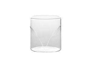 Vision Deco Fern Tumbler [Set of 6] - Clear Lightweight & Durable Drinkware Drinnkware, 10 Ounce Cups