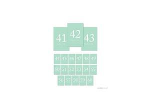 Table Numbers 41-60 on Perforated Paper, Mint Green, 4x6-inch Single Sided Sign, 1-Set, for Weddings, Graduation