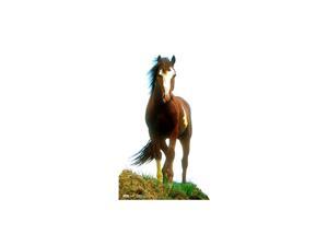 Graphics Mustang Horse Life Size Cardboard Cutout Standup