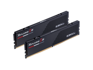 G.SKILL Ripjaws S5 Series 32GB (2 x 16GB) PC5 48000 DDR5 288-Pin UDIMM Desktop Memory (F5-6000J3636F16GX2-RS5K)