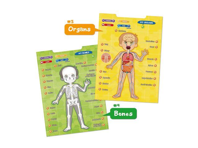 BEST LEARNING Interactive Human Body Poster V Talking Anatomy STEM Toy for Kids Ages 5-12 Top Christmas Gift