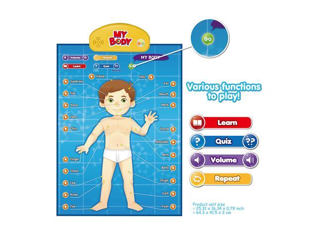 BEST LEARNING Interactive Human Body Poster V Talking Anatomy STEM Toy for Kids Ages 5-12 Top Christmas Gift