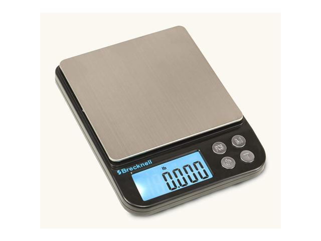 Brecknell EPB500 EPB Series Balance Scale, 500 g Maximum Weight Capacity, Black, Silver