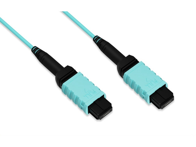 Nippon Labs MPO 50/125 OM4 Multimode 12 Fibers Trunk Optic Cable Type B, 25 Meters, 30FP-12MPO-4BFF12-25